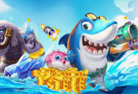 云开足球平台免费版