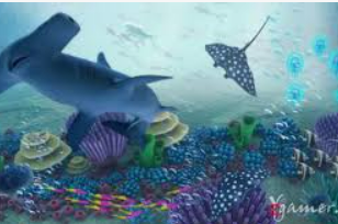 云开足球平台客户端